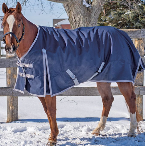Canadian Horsewear Monarch Diablo 300GM Fill 1200 Denier Winter Blanket