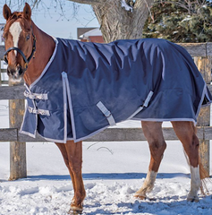 Canadian Horsewear Monarch Diablo 300GM Fill 1200 Denier Winter Blanket