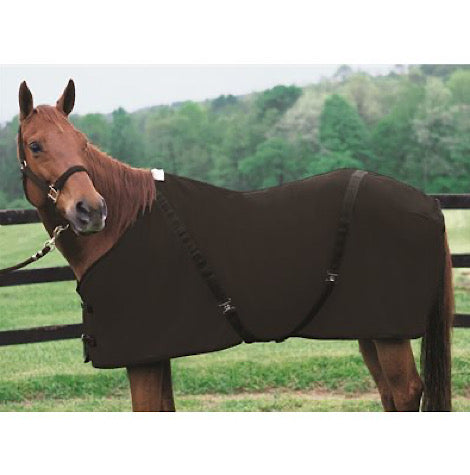 Weaver Polar Fleece Sheet