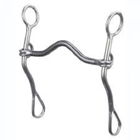 Reinsman Sharon Camarillo Short Lifter Port Bit 713
