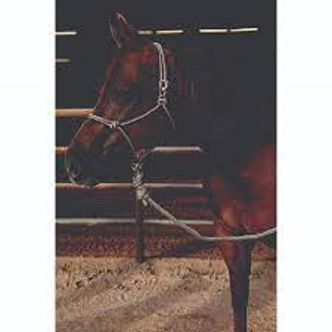 Pro Choice Easy On Rope Halter Hre-cho